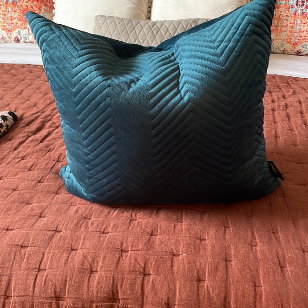 21x20 down filled for active pillow. Like new. Jade colored